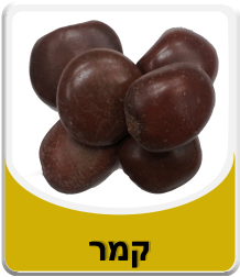 קורס קמר לפי משקל 50 גרם