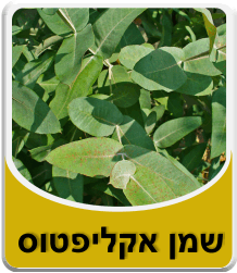 תמונה לאבקת בורקס