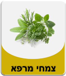 צמחי מרפא תרופות סבתא