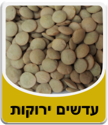 תמונה של עדשים ירוקות