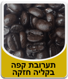 תמונה לאבקת בורקס
