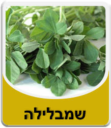 שמבלילה - עלי חילבה 50 גרם