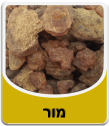 תמונה לאבקת בורקס