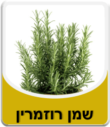 Rosemary oil 10 ml