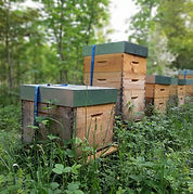 partenaire abeilles parrain ruche
