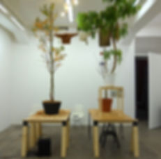 千葉正也-CHIBA-Masaya-「jointed-tree-gallery-