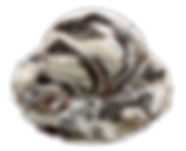 AshbyQ_EskimoKss.png