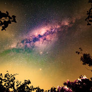 Daniela Beach, Florianópolis, Brazil