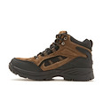 Black hiking shoe