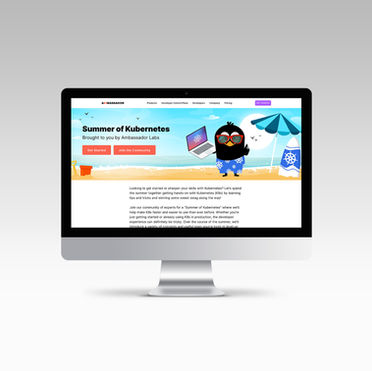 Ambassador Web Design