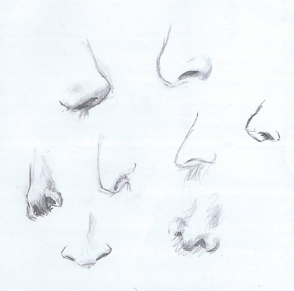 nose sketches | Shmuel C Benedict
