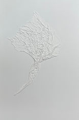 The monochromatic canvas's rich texture employs muslin fabric and pale grey acrylic painting white acrylic paint to create the figure. Expressionistic yet controlled, the fabric is thrown repeatedly and teased until the piece's ethos is revealed.
Movement remains a factor in this work, which explores how gesture can manifest within the still image and how the symbolic form can appear constrained in a moment.
Elements of soulful musicality and dance are also present, exploring the performer's philosophy and reflecting upon human vulnerability.
The unique relief of muslin creates forms, revealing emotional expressions within the contorts of the paint-soaked fabric.
Derek intends to reveal delicate and sensual figures and explore the performer's philosophy while reflecting upon his continued interest in the human condition.