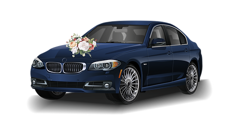 798 [Converted]-01.png