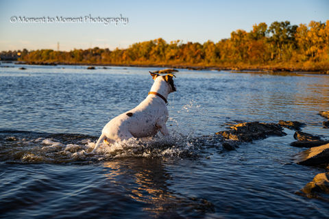 Riverside Playtime