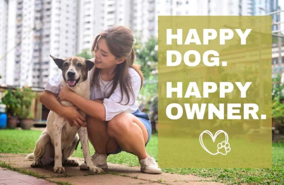 Happy dog with owner — responsible dog ownership