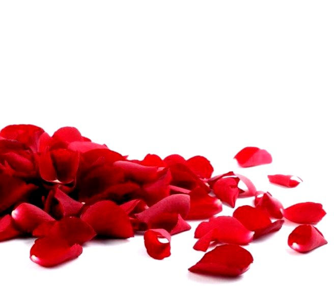 Thumbnail: Roses