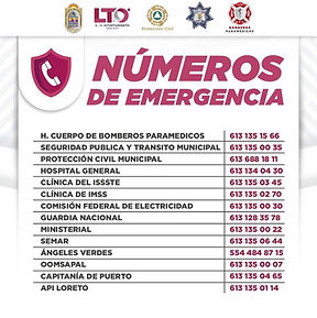 emergency numbers.jpg