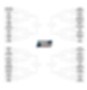NCAA WOMENS D1 BRACKETS_edited.jpg