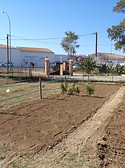 DSC05222.JPG