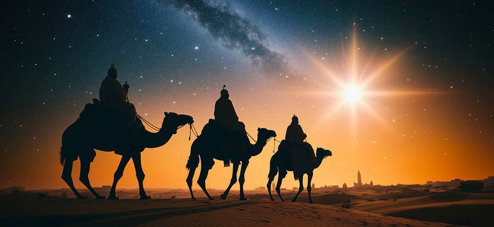 Nativity Illustration Backdrop