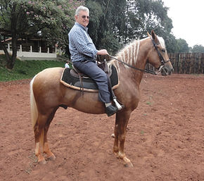 Guilherme Cleber Marconi