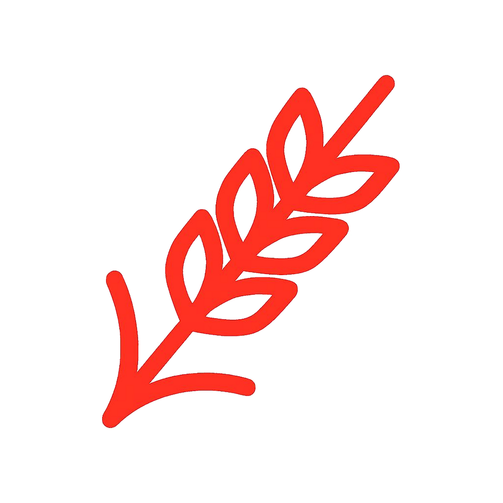 spiga simbolo_edited.png
