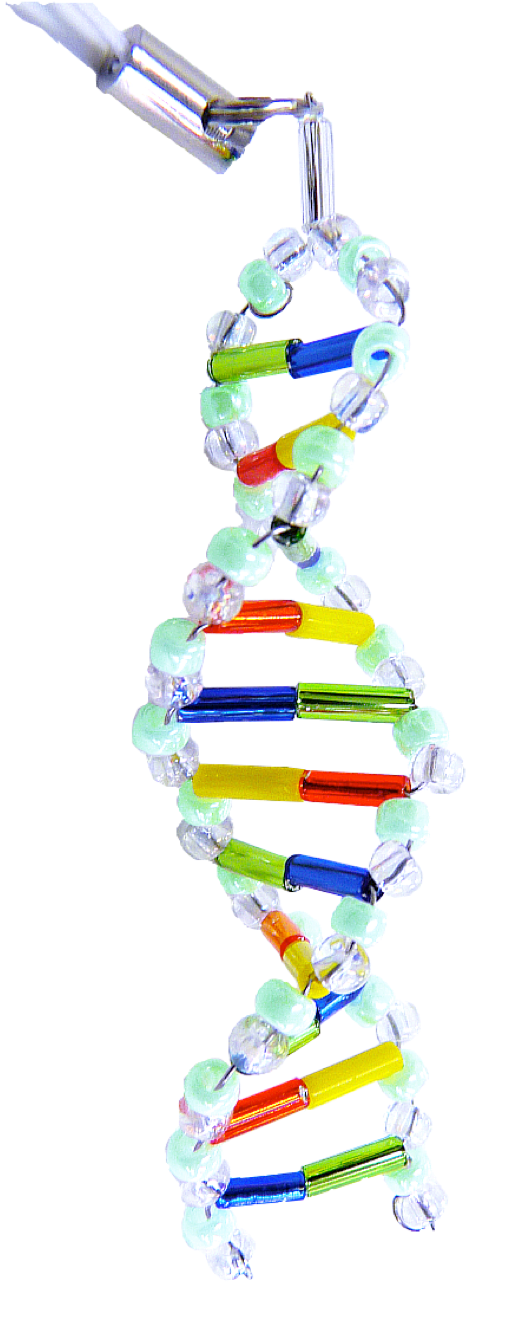 DNA based virtual layer