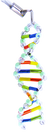 DNA based virtual layer
