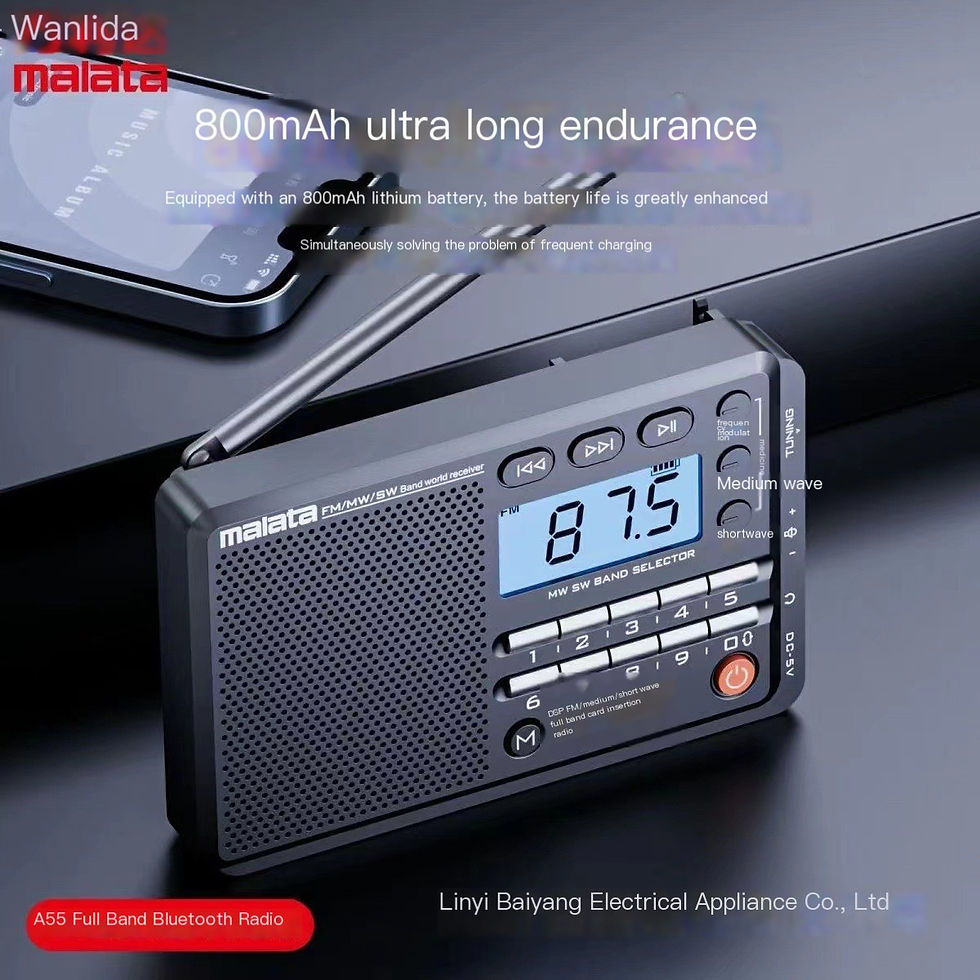 Thumbnail: Malata A55 Bluetooth Multi-Function Portable Player