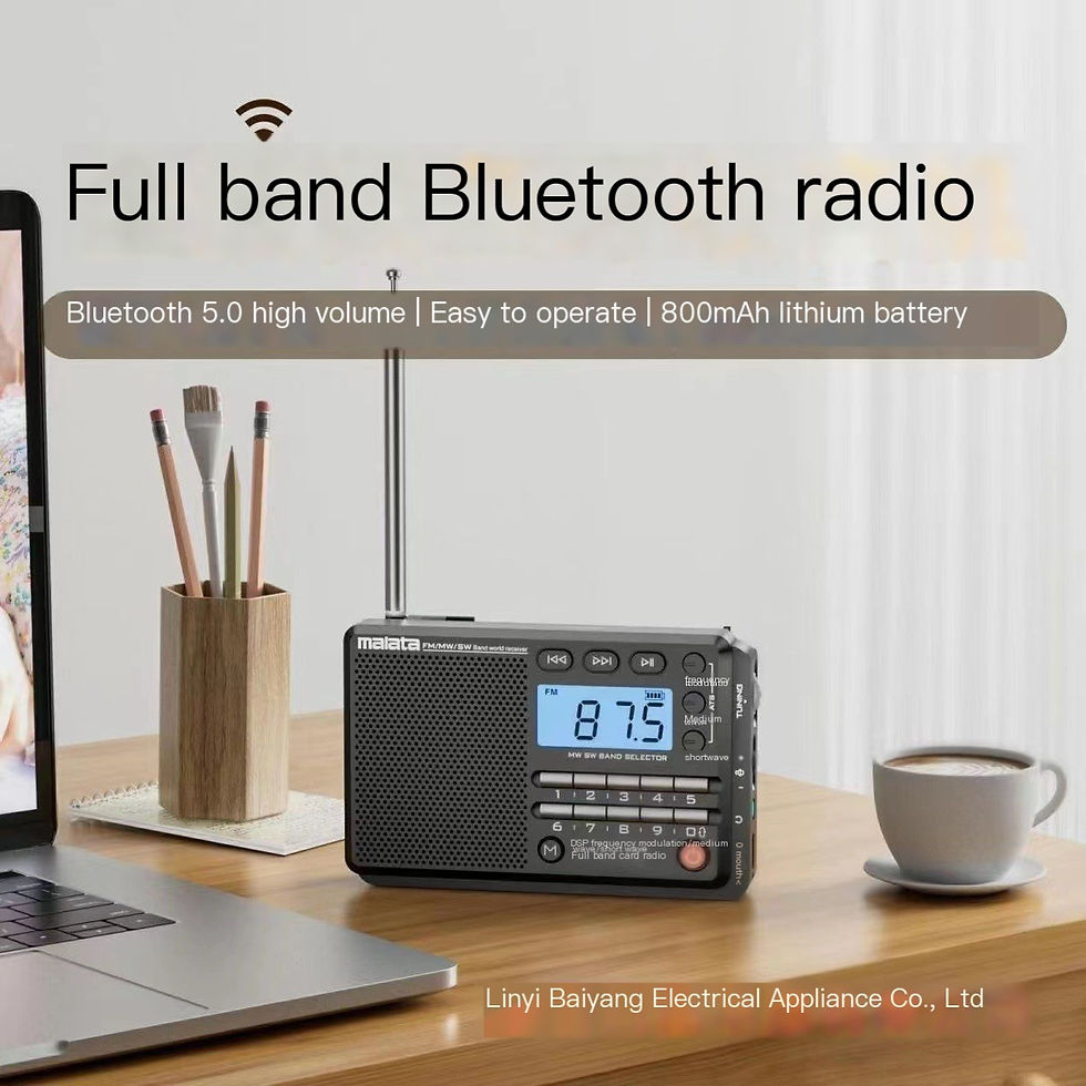 Thumbnail: Malata A55 Bluetooth Multi-Function Portable Player