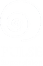 Pulse Supervision Main Logo WHITE.png