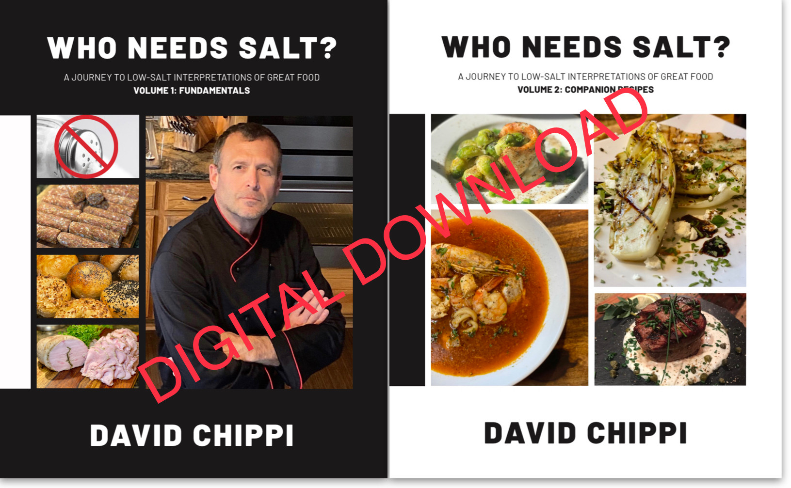 WHO NEEDS SALT? Two volume set: Volume 1 & Volume 2 (Digital Download)