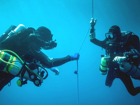 Divemaster leading divers through Cozumel coral reef
