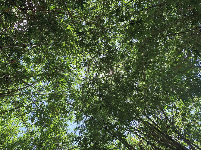 Home The Pathway Group