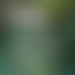 Temporary Pause on Decisions for Certain Cases