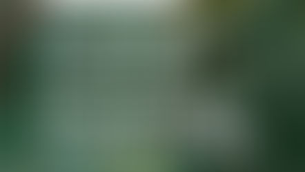 Temporary Pause on Decisions for Certain Cases