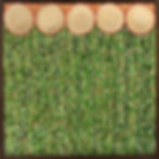 Shimmering Nouveau Meadow