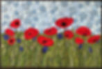 A Time for Poppies