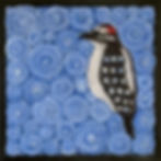 Woodpecker
