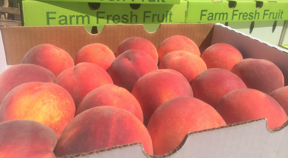 Overland Park Aug 23 1 Peaches Full Box CoPeaches4KC