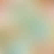 Close-up view of Mughal Digital Pattern.