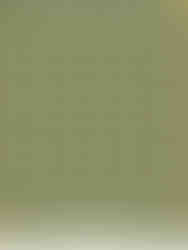 Close-up view of Mughal Digital Pattern.