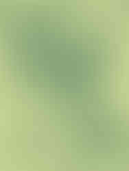 Close-up view of Leaf Digital Pattern.