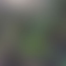 A Senhora da Alegria depois da depressão Kristin 