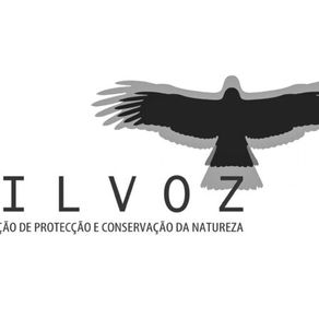 A Milvoz no radar