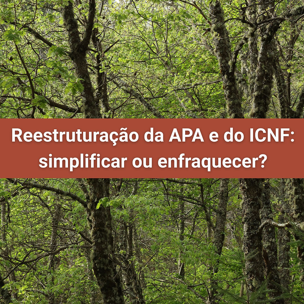 Reestruturação da APA e do ICNF: simplificar ou enfraquecer?