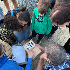 Em busca de animais noturnos