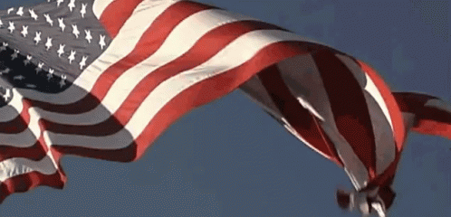waving tenor flag gif.gif