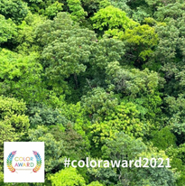 スクリーンショット 2022-04-16 15.22.32.png