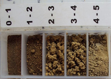 numbered sand samples.jpg